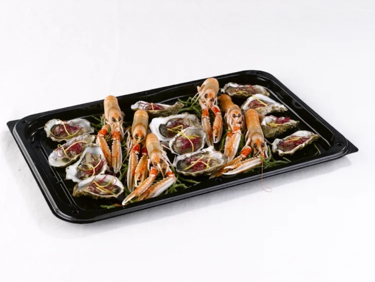  Combo Box Ultimate Platten 46x30cm + Deckel 