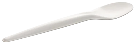  Paper Spoon