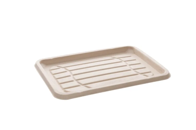  COMBO Servierplatten 35x24cm + rPET gewölbter 