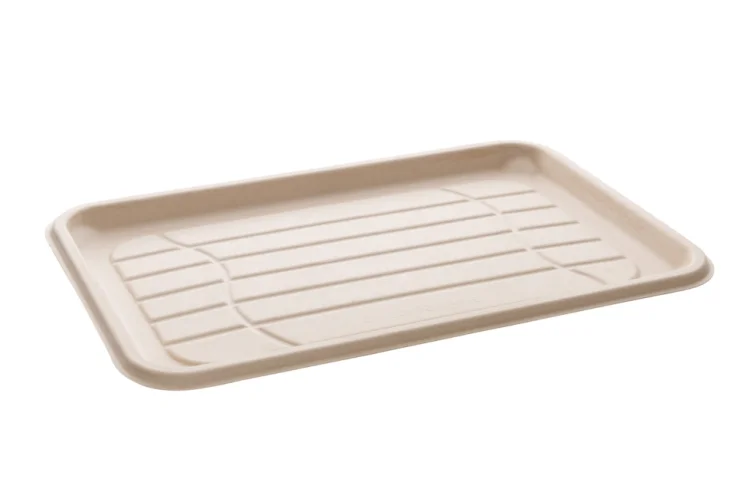  COMBO Servierplatten 46x30cm + rPET gewölbter 