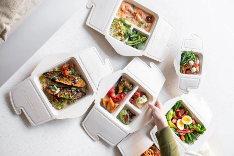  Meal Box to Go mit 3 Fächern 500/200/200ml 