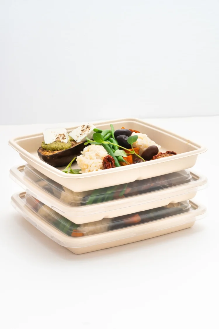  Square tray 1000ml 23x23cm 